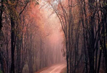 开云体育登录-德甲风云：豪门稳如磐石背后的秘密武器