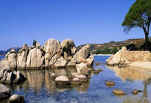 开云体育app-逆风翻盘！佛罗伦天津天海的赛场蜕变密码