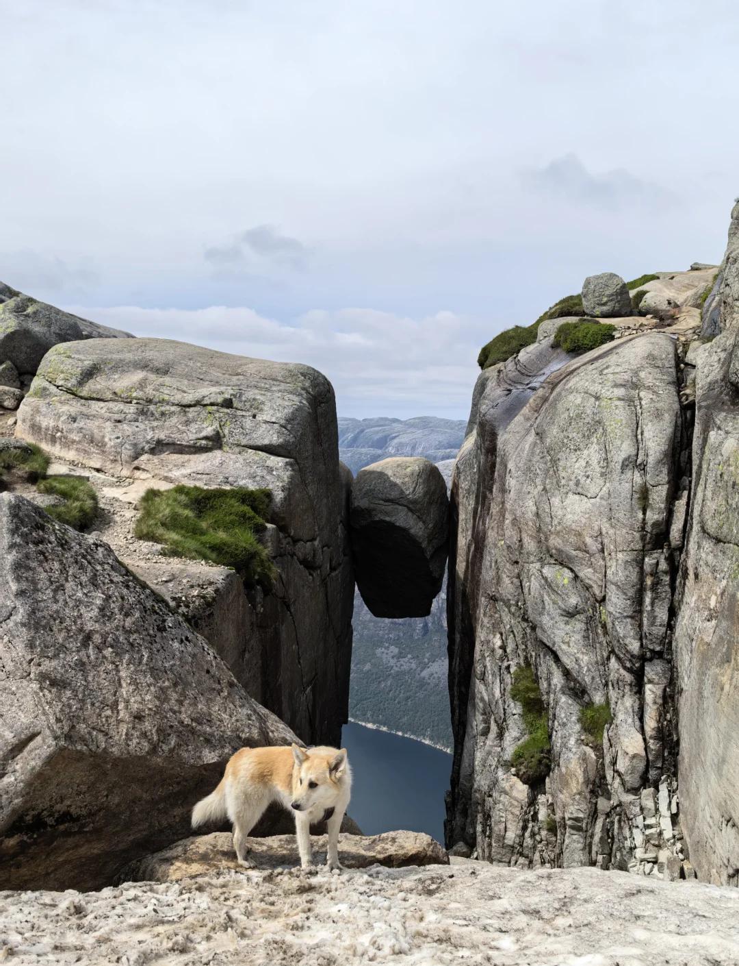 开云体育登录-挪威遇到挑战-挪威迎战强敌