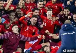 开云体育官网-瑞典不敌瑞士，两连败小组出线梦