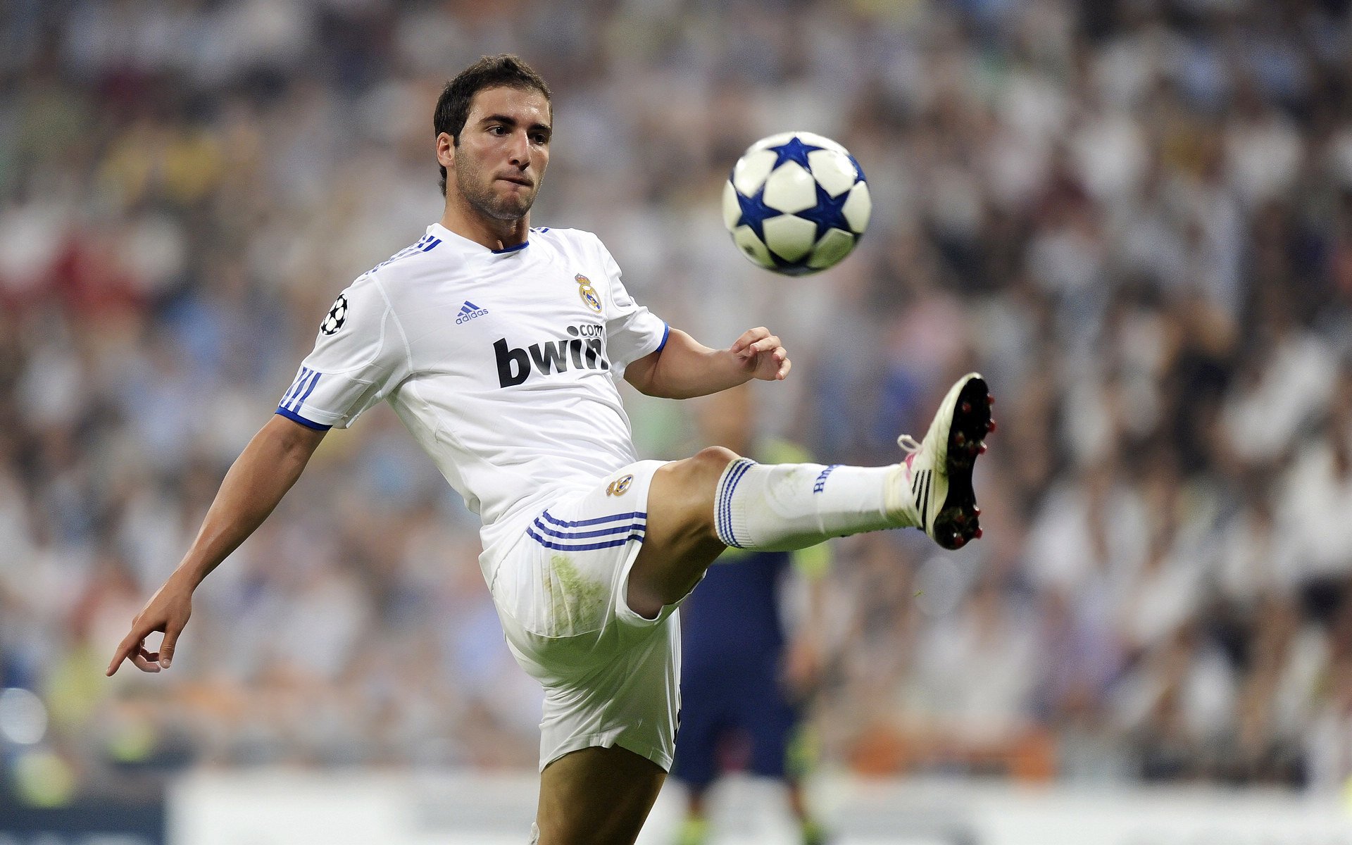 一场隔空完成的复仇，当萨内接管欧冠决赛时，荷兰在另一个战场淘汰了爱尔兰