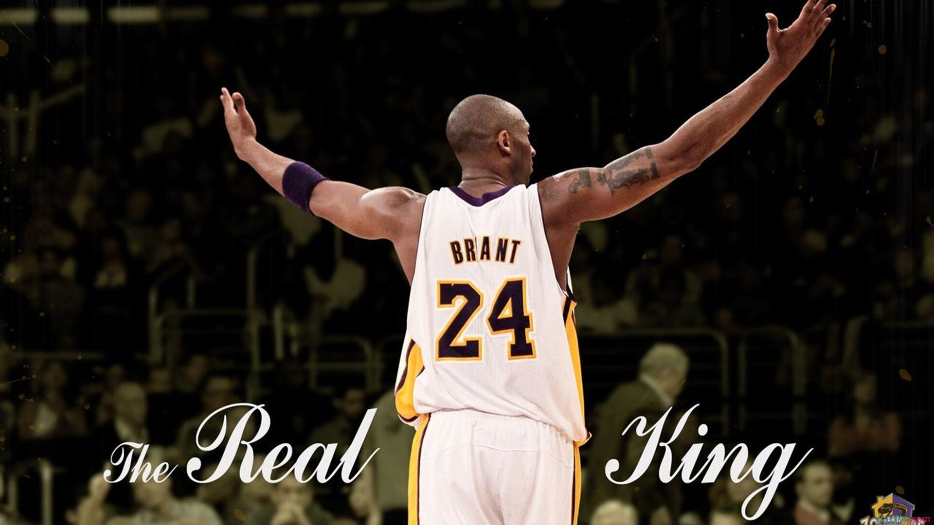 宿命交错的十字路口，当凯尔特人降伏马刺，福克斯化身降魔之神